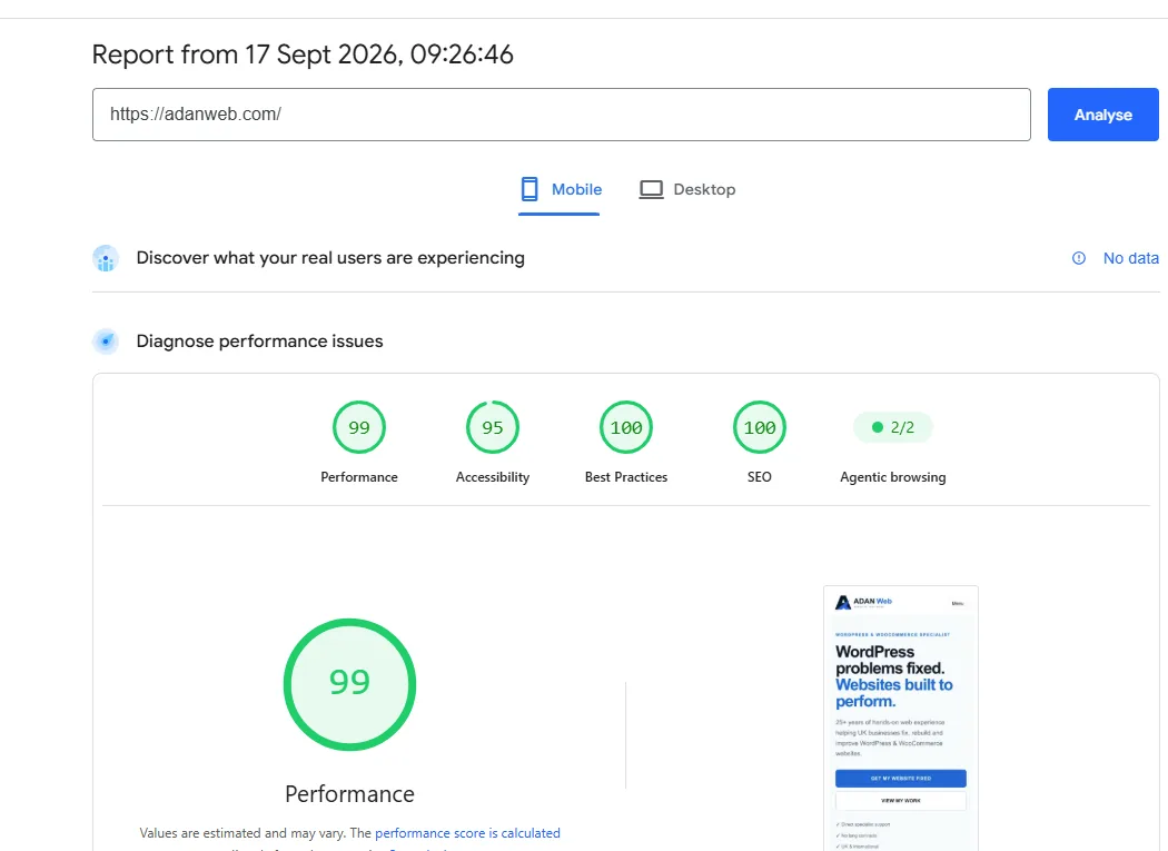 ADAN Web Google PageSpeed mobile test showing 99 Performance, 95 Accessibility, 100 Best Practices and 100 SEO